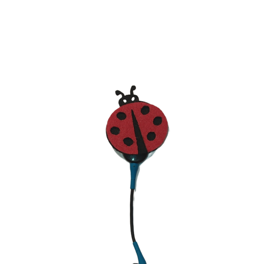 Coccinelle